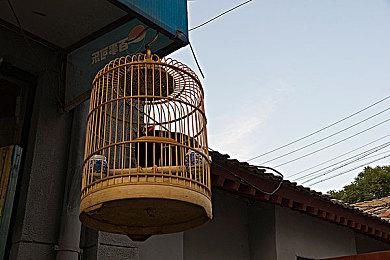 仅限邀请游玩的《Deadlock》在线玩家突破十万人